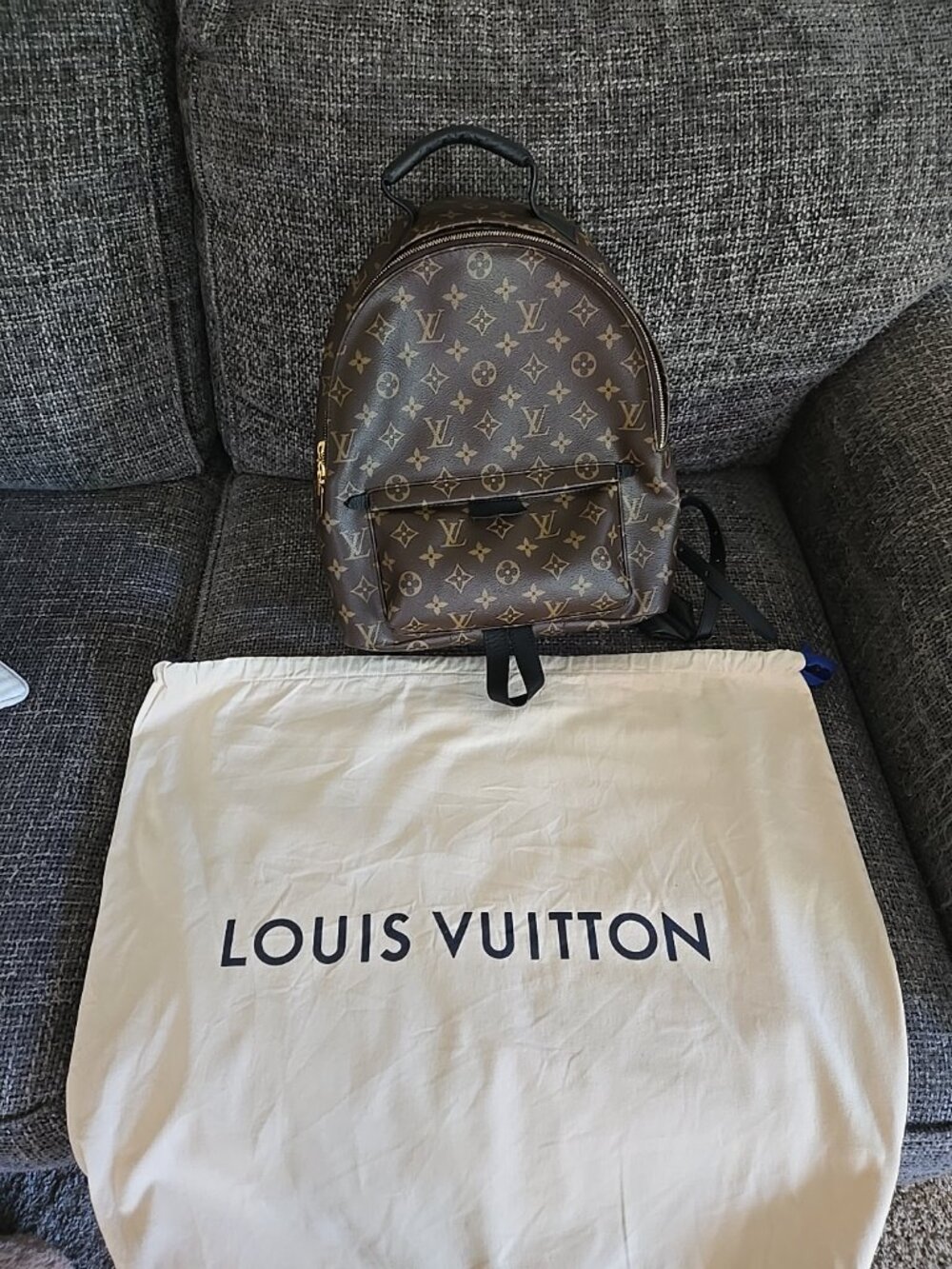 Louis-vuitton Palm Springs MM